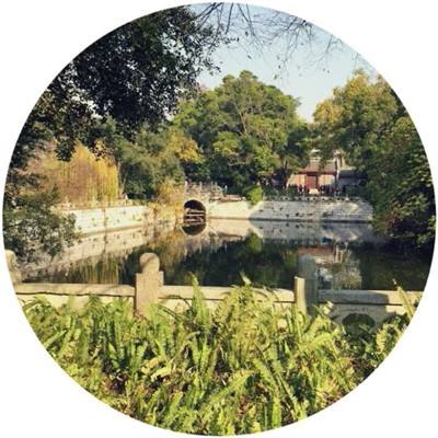史前巨鳄吞噬城市